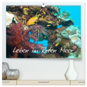 Eberschulz, Lars. Leben im Roten Meer (hochwertiger Premium Wandkalender 2024 DIN A2 quer), Kunstdruck in Hochglanz - Unterwasserfotos aus dem Roten Meer. Calvendo Verlag, 2023.