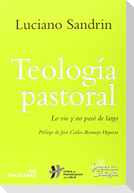 Teología pastoral : lo vio y no pasó de largo