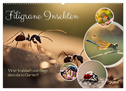 Filigrane Insekten (Wandkalender 2025 DIN A2 quer), CALVENDO Monatskalender