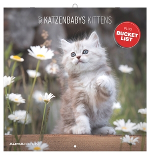 Neumann Verlage GmbH & Co KG (Hrsg.). Katzenbabys 2027 - Broschürenkalender 30x30 cm (30x60 cm geöffnet) mit Notizkalendarium, 12 Fotos von Katzenbabys und Bucket-List. Neumann Verlage GmbH & Co, 2026.