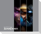 The Cinematic Art of Starcraft