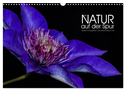 Der Natur auf der Spur - Makro-Fotografien der besonderen Art (Wandkalender 2025 DIN A3 quer), CALVENDO Monatskalender