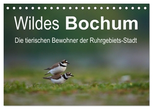 Schütter, Stefan. Wildes Bochum (Tischkalender 2024 DIN A5 quer), CALVENDO Monatskalender - Alle Fotos der Tiere sind in Bochum aufgenommen worden.. Calvendo, 2023.