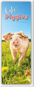 Cute Piggies - Süße kleine Schweinchen - Slimline-Kalender 2027
