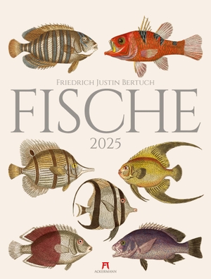 Bertuch, Friedrich Justin / Ackermann Kunstverlag. Fische Kalender 2025. Ackermann Kunstverlag, 2024.