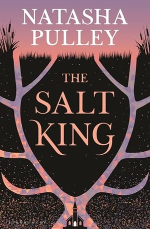 Pulley, Natasha. The Salt King. Bloomsbury USA, 2026.