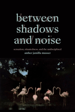 Musser, Amber Jamilla. Between Shadows and Noise - Sensation, Situatedness, and the Undisciplined. Duke University Press, 2024.