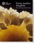 From Another Kingdom