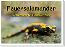 Feuersalamander - Liebenswerte Heimlichtuer (Tischkalender 2024 DIN A5 quer), CALVENDO Monatskalender