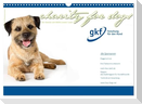Charity for Dogs - der Kalender zum Wohle unserer Hunde (Wandkalender 2024 DIN A3 quer), CALVENDO Monatskalender