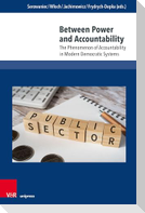 Between Power and Accountability