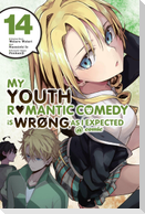 My Youth Romantic Comedy Is Wrong, as I Expected @ Comic, Vol. 14 (Manga)