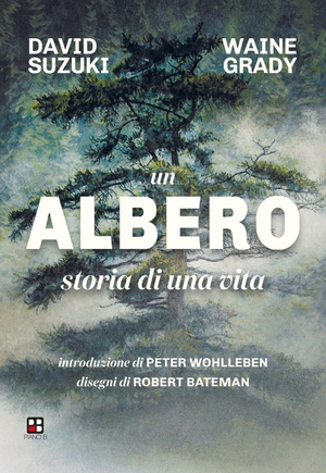 Suzuki, David / Waine Grady. Un albero. Storia di una vita. Piano B, 2026.