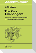 The Gas Exchangers