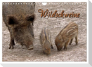 Wildschweine (Wandkalender 2024 DIN A4 quer), CALVENDO Monatskalender