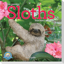 Original Sloths Mini Wall Calendar 2026