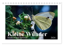 Kleine Wunder - Insekten und Spinnen (Tischkalender 2024 DIN A5 quer), CALVENDO Monatskalender