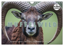 Emotionale Momente: Muffelwild. (Wandkalender 2024 DIN A4 quer), CALVENDO Monatskalender