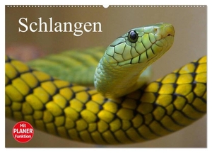 Stanzer, Elisabeth. Schlangen (Wandkalender 2024 DIN A2 quer), CALVENDO Monatskalender - Giftige und ungiftige Schlangen in beeindruckenden Farben. Calvendo, 2023.