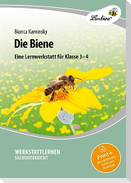 Die Biene. Grundschule, Sachunterricht, Klasse 3-4