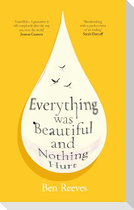 Everything was Beautiful and Nothing Hurt