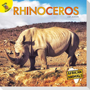 Rhinoceros