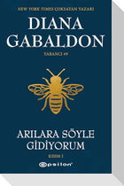 Arilara Söyle Gidiyorum - Yabanci 9 Kisim 1