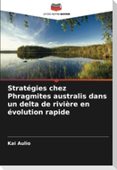 Stratégies chez Phragmites australis dans un delta de rivière en évolution rapide