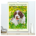Lagotto Romagnolo - Der Trüffelhund Italiens - Planer (hochwertiger Premium Wandkalender 2024 DIN A2 hoch), Kunstdruck in Hochglanz