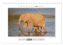 Emotionale Momente: Aus dem Leben der Elefanten. (Tischkalender 2024 DIN A5 quer), CALVENDO Monatskalender
