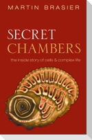 SECRET CHAMBERS C