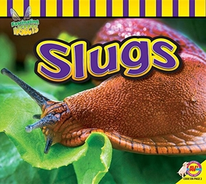Willis, John. Slugs. Av2, 2016.