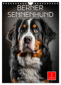 Berner Sennenhund - gutmütig und treu (Wandkalender 2025 DIN A4 hoch), CALVENDO Monatskalender