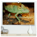 Chamäleons (hochwertiger Premium Wandkalender 2024 DIN A2 quer), Kunstdruck in Hochglanz