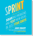 Sprint: How to Solve Big Problems and Test New Ideas in Just Five Days