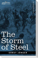 The Storm of Steel: From the Diary of a German Storm-Troop Officer on the Western Front