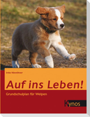 Auf ins Leben!
