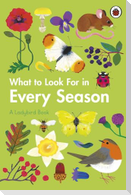 What to Look For in Every Season