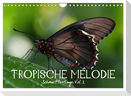 Tropische Melodie - Schmetterlinge Vol.2 (Wandkalender 2025 DIN A4 quer), CALVENDO Monatskalender