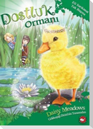 Dostluk Ormani 03 - Eli Sarikanat Tek Basina