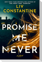Promise Me Never