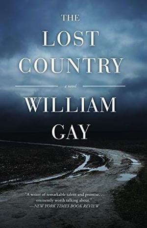 Gay, William. The Lost Country. Dzanc Books, 2018.