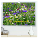 Blumenfreude (hochwertiger Premium Wandkalender 2024 DIN A2 quer), Kunstdruck in Hochglanz
