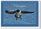 Nonnengänse (Tischkalender 2024 DIN A5 quer), CALVENDO Monatskalender