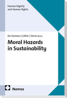 Moral Hazards in Sustainability