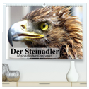 Der Steinadler. Majestätischer Greifvogel (hochwertiger Premium Wandkalender 2024 DIN A2 quer), Kunstdruck in Hochglanz