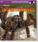 Invertebrates