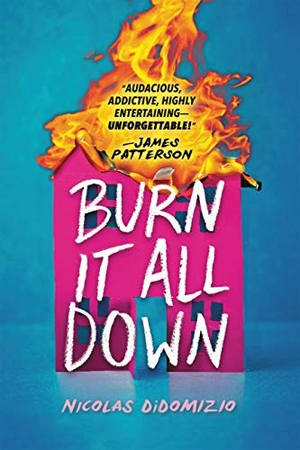 Didomizio, Nicolas. Burn It All Down. Little Brown and Company, 2021.