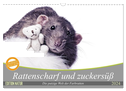Rattenscharf und zuckersüß (Wandkalender 2024 DIN A3 quer), CALVENDO Monatskalender