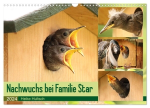 Hultsch, Heike. Nachwuchs bei Familie Star (Wandkalender 2024 DIN A3 quer), CALVENDO Monatskalender - Brutzeit der Stare. Calvendo, 2023.